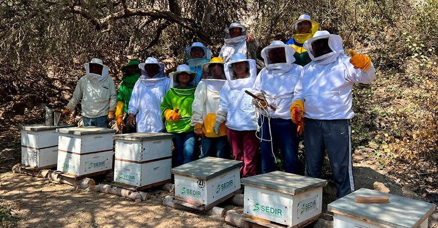 Apicultores de Moro y Pamparomás se capacitaron en el manejo de colmenas Ancash Sedir Perú