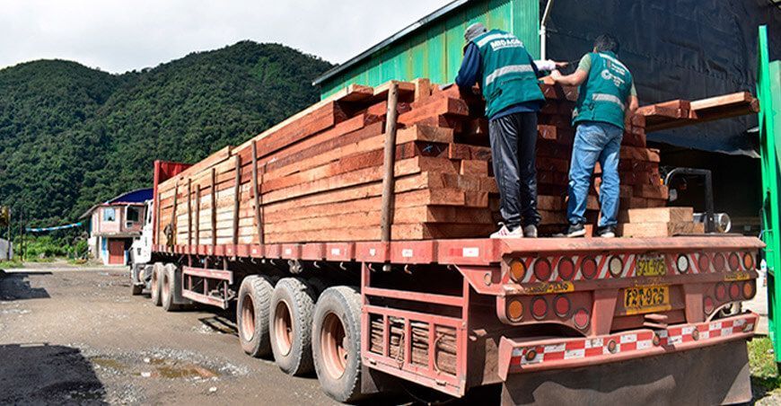 Serfor decomisó 4913.312 pies tablares de madera de procedencia ilegal en Puno Perú