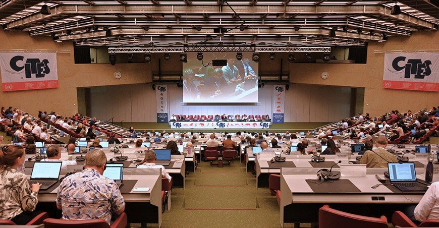 Perú participó en la 27 reunión internacional del Comité de Flora de la Cites