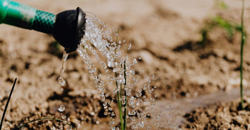 uso correcto de agua en la producción cultivos