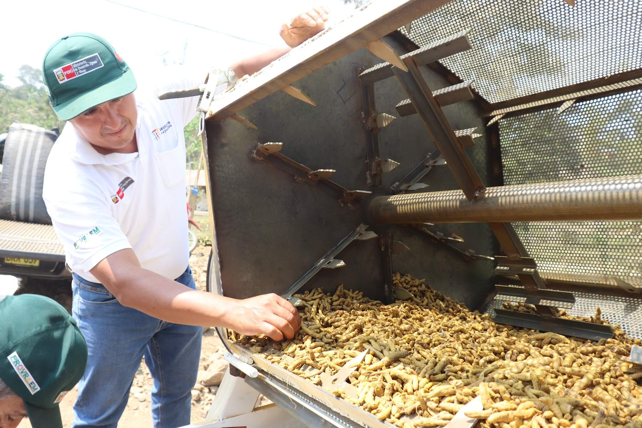 Instalan máquinas pulidoras para fortalecer producción de cúrcuma en Sivia en Ayacucho Provraem Perú