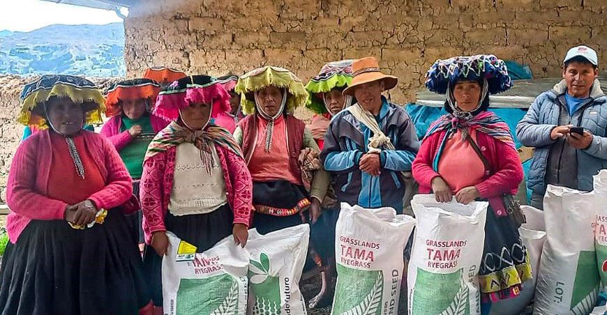 Capacitarán a más de 2000 productores en el uso de kits de semillas de pastos cultivados en Cusco Agro Rural Perú