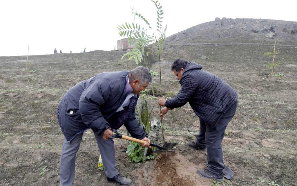 Lanzan Proyecto Forestal “Apadrina tu Árbol” en Huaral, Lima