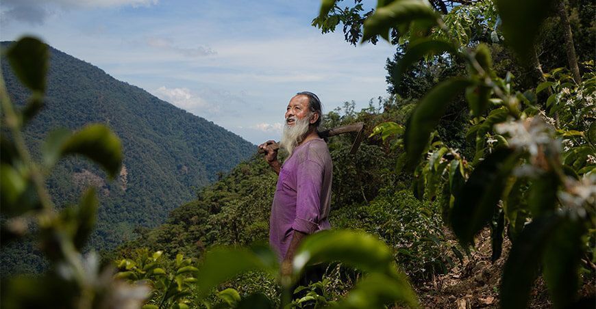 cafetalero Abel Vilcas posiciona al Vraem en el mapa del café de excelencia