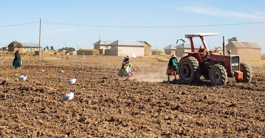 campaña agrícola siembra cultivos productores Puno Perú