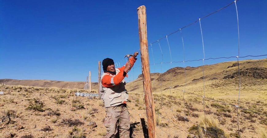 Ayacucho protege vicuñas de Soncgonche con nuevo cerco permanente