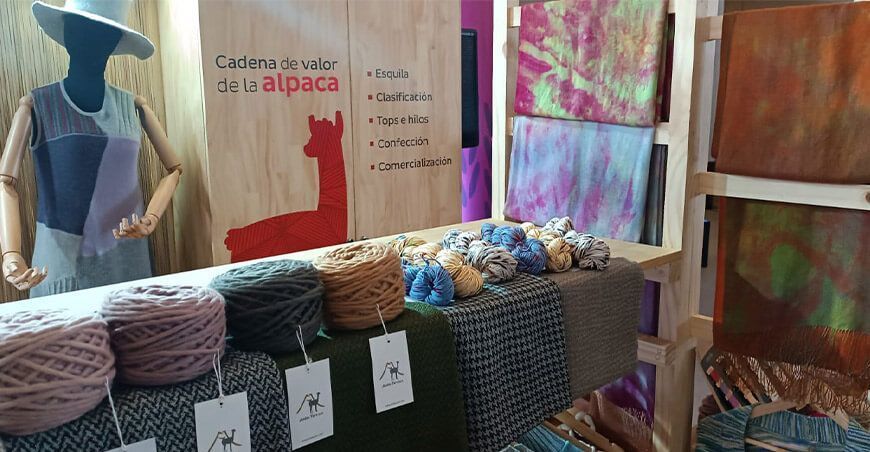 CITEtextil Camélidos Arequipa beneficia a unidades productivas cadena de valor de la alpaca Perú
