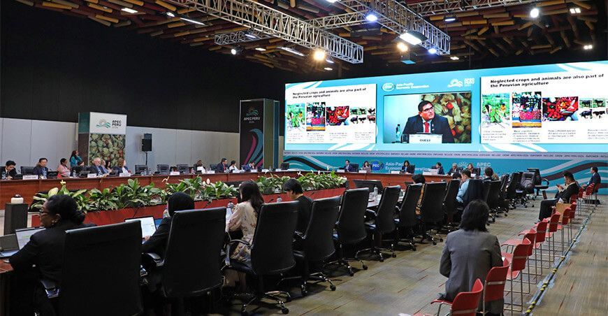 Concytec pondrá en agenda la conservación de la biodiversidad marina