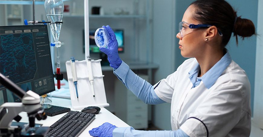 Estudiantes de posgrado e investigadores peruanos podrán cursar estudios en Brasil