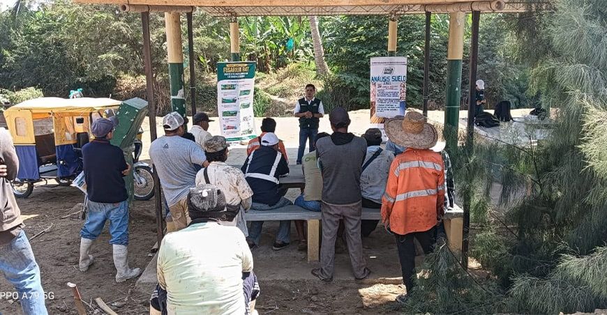 INIA transfirió tecnologías para la conservación de la calidad del suelo en cultivos de banano en Piura