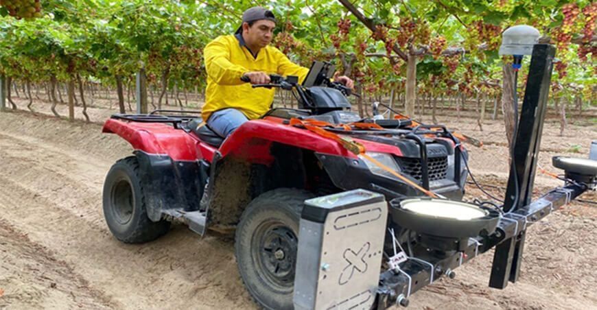 Bigfrut de Hortus SA: Inteligencia artificial aplicada a la agricultura cultivo de uva