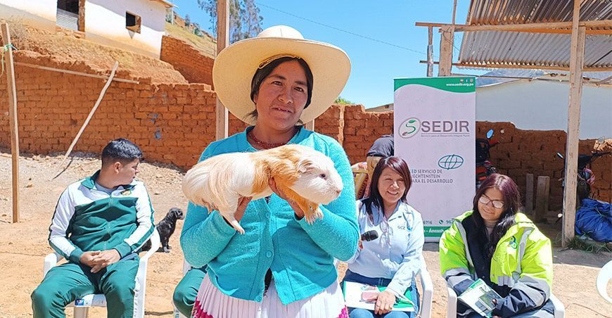 Cuy más grande: Segunda Canuto Milla ganó el reconocimiento centro poblado Pisha Ancash Perú