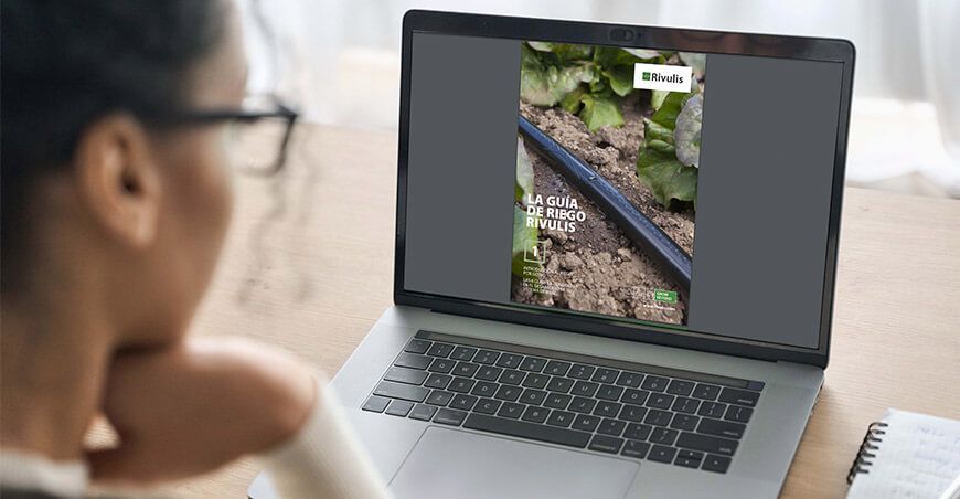 Guías de riego por goteo en español revolucionan la agricultura