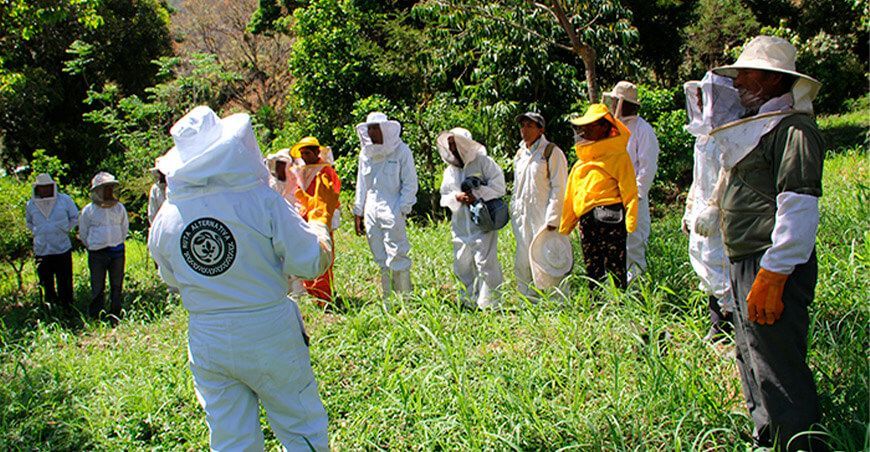 Devida fortalece las capacidades de más de 100 familias apicultoras de Cusco