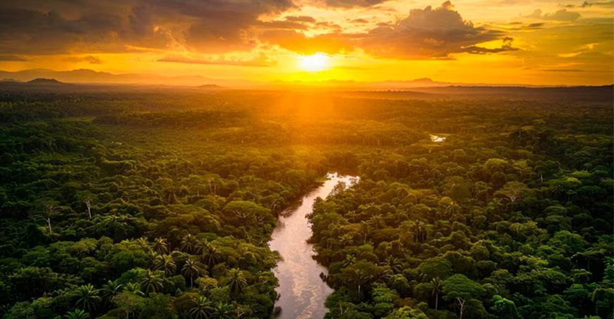 Natura forma alianza sin precedentes con sus proveedores para acelerar prácticas regenerativas en bosques amazónicos