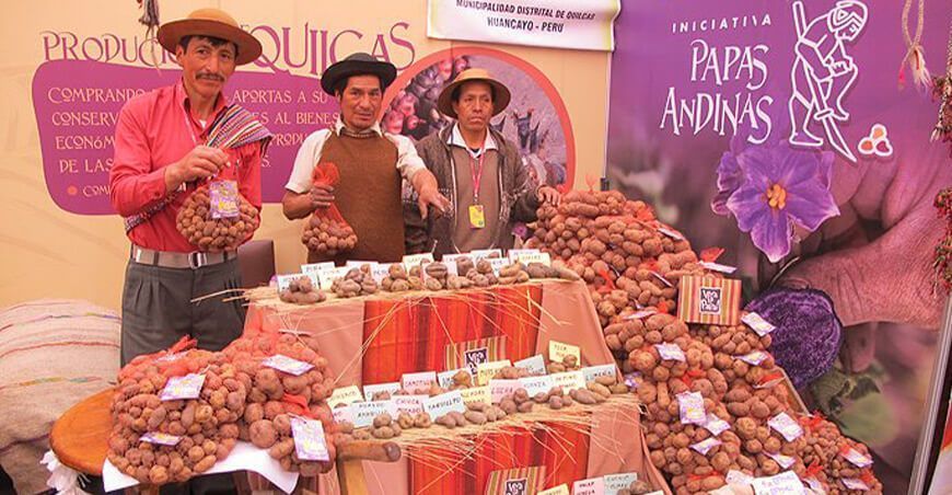 Encuentro de Guardianes de Papa Nativa del Perú Aguapan