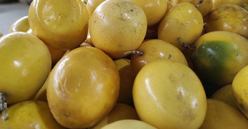 exportación maracuyá Perú