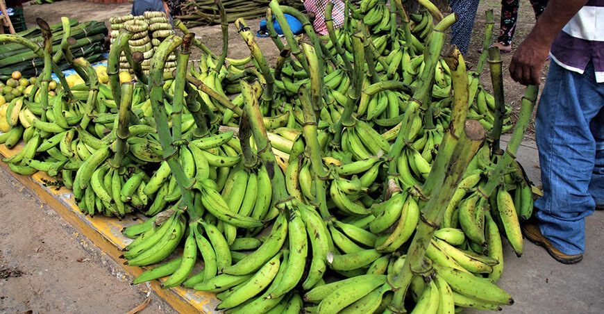 Festival del Plátano Padre Abad en Ucayali Perú