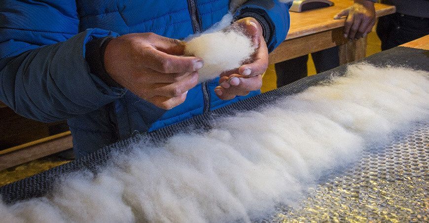 Cooperativa Oro Andino de Huancavelica Perú gana financiamiento de Procompite para fortalecer producción de fibra de alpaca