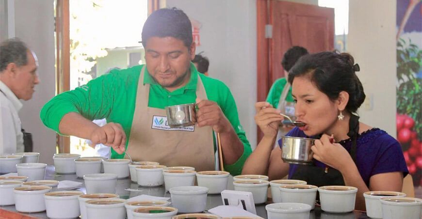 Huánuco busca el mejor grano de café en concurso regional Ficafé Perú