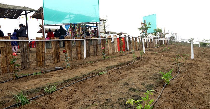 Lanzan Proyecto Forestal “Apadrina tu Árbol” en Huaral, Lima