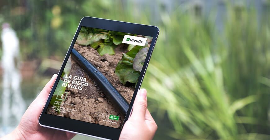Guías de riego por goteo en español revolucionan la agricultura Perú