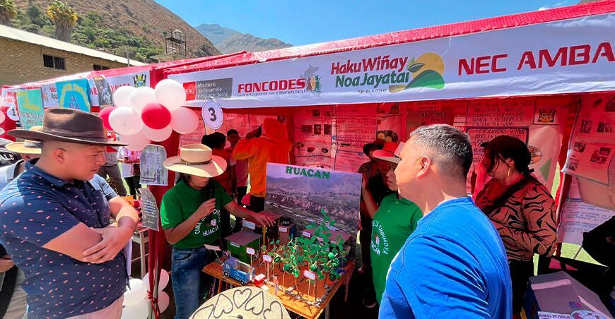Financiamiento y asistencia técnica especializada para negocios rurales de Huaura Haku Wiñay Foncodes Perú