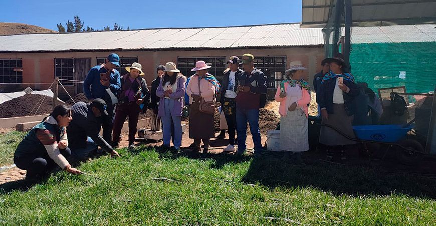 Productores de Muñani adoptan tecnologías para mejorar la calidad de su producción INIA Puno Perú