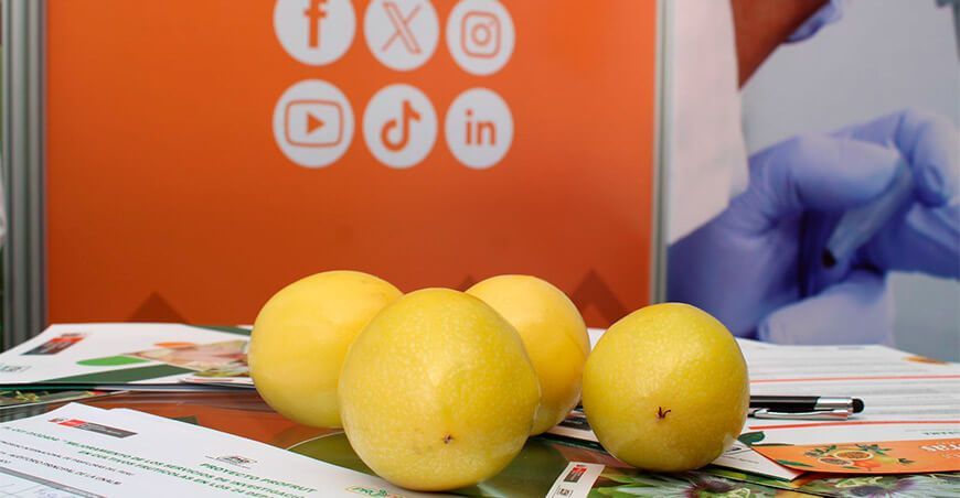 Perú está en el top 10 de proveedores mundiales de maracuyá y frutas exóticas