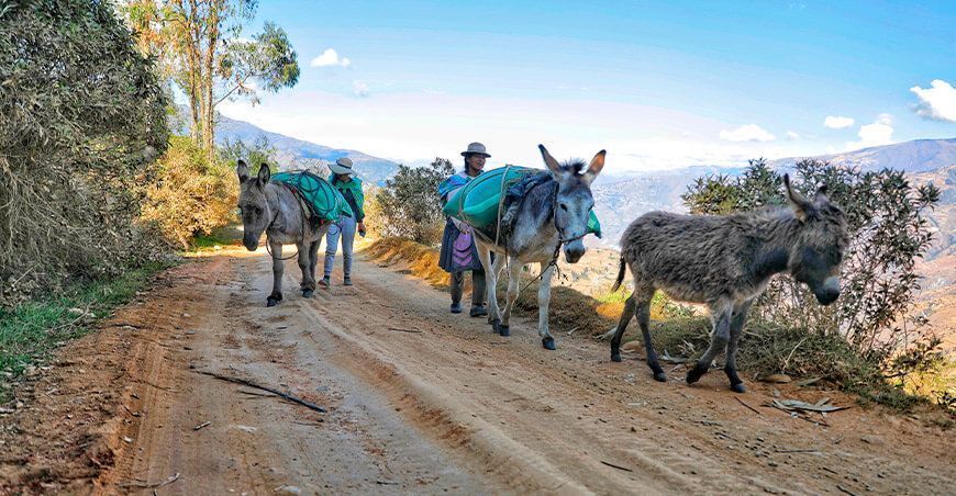 Familias de Pichos se benefician con mejoramiento de caminos vecinales Huancavelica Devida Perú