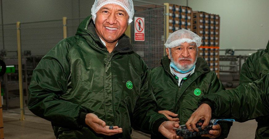 Delegación de APEC visitó Camposol para conocer avances en agroindustria peruana Midagri Perú