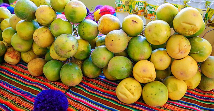las comunidades campesinas de Paucarpata y Chillca, en la región Cusco, quienes combinan conocimientos ancestrales y técnicas modernas en la conservación del agua y el uso sostenible de la granadilla andina Minam Perú
