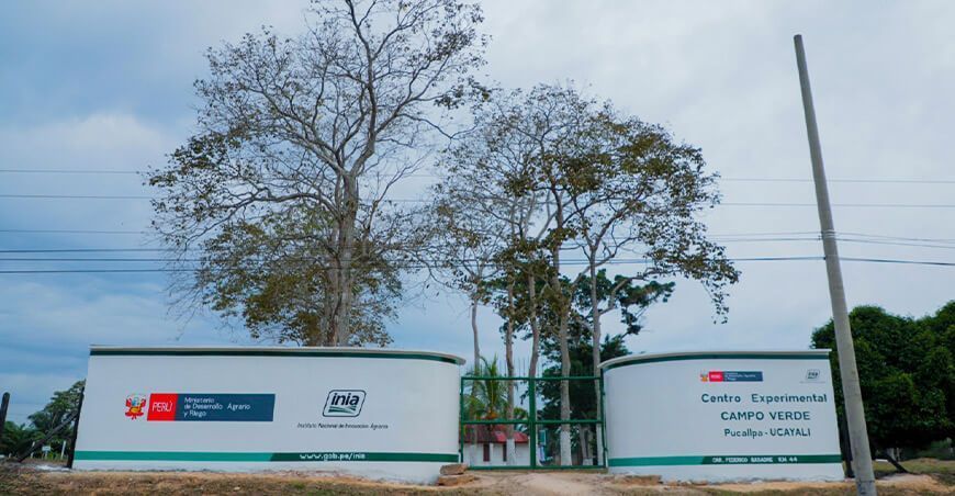 INIA inauguró el primer módulo de manejo de ganado vacuno en Ucayali Perú 