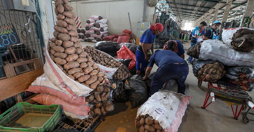 abastecimiento papa mercados mayoristas Emmsa