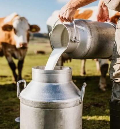 producción láctea leche ganado vacuno Perú