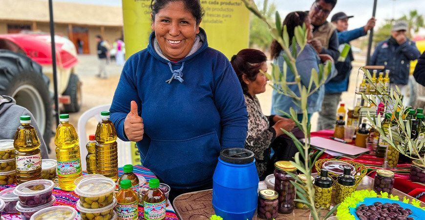 productora de olivo aceitunas Tacna Perú