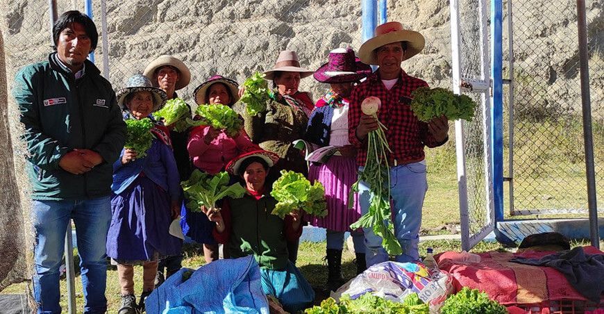 productores incrementan producción de hortalizas de calidad en módulos hidropónicos INIA Perú