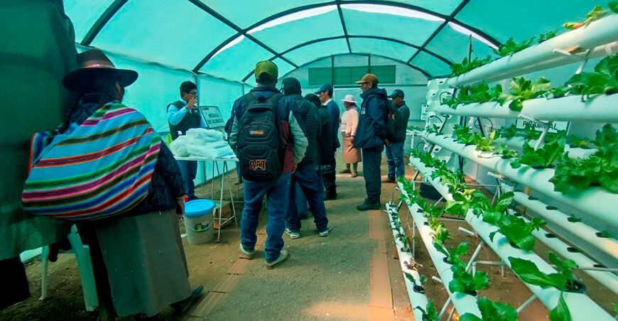 Productores de Muñani adoptan tecnologías para mejorar la calidad de su producción INIA Puno Perú