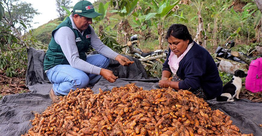 Provraem proyecto Palillo Perú