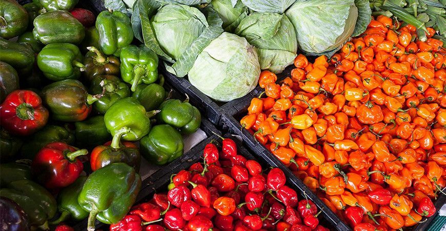 seguridad alimentaria producción de cultivo ajíes y rocotos