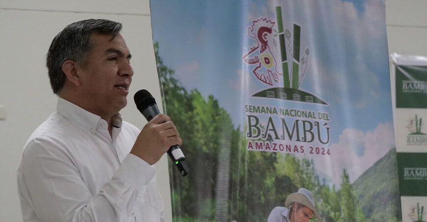 VII Semana Nacional del Bambú se realizará en Amazonas Serfor Perú