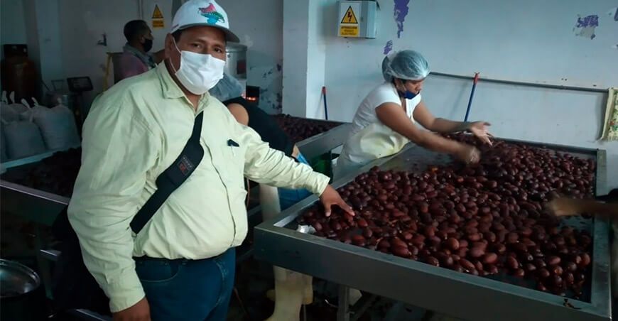 Cadenas productivas de aguaje y ungurahui reciben apoyo financiero y crediticio Serfor Perú