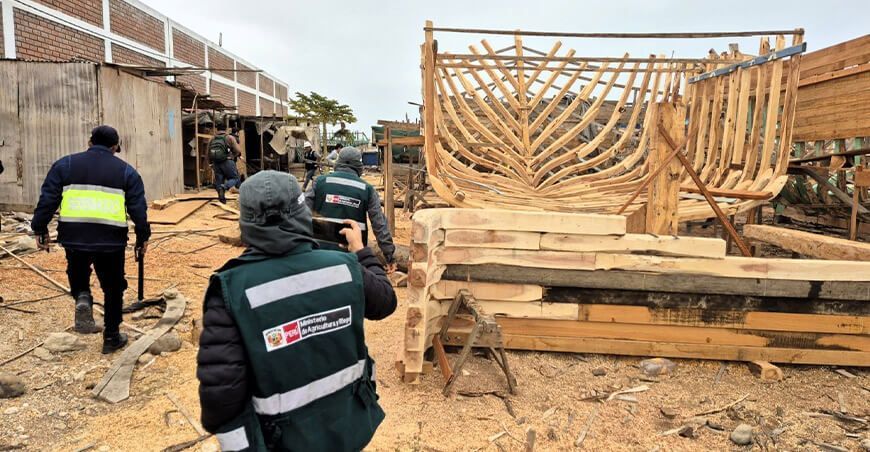 Serfor decomisó madera y maquinaria utilizadas en la construcción de embarcaciones pesqueras ilegales en Paita Piura Perú