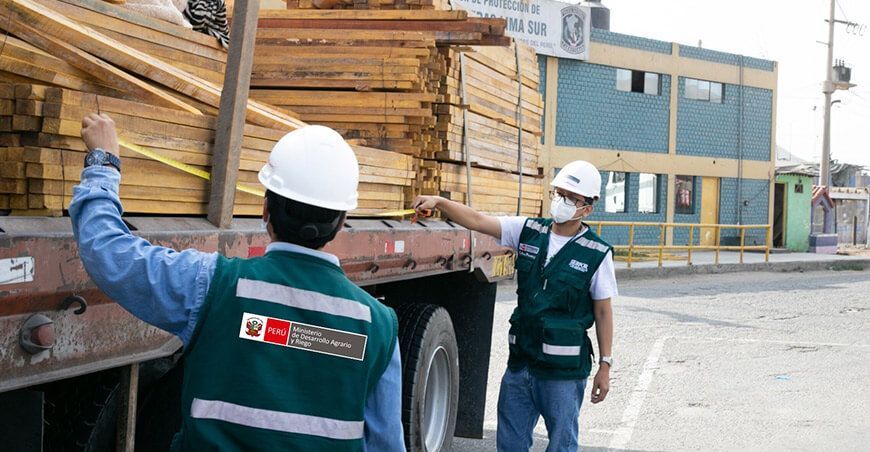 Serfor promueve acciones de la cadena de valor de la madera y su origen