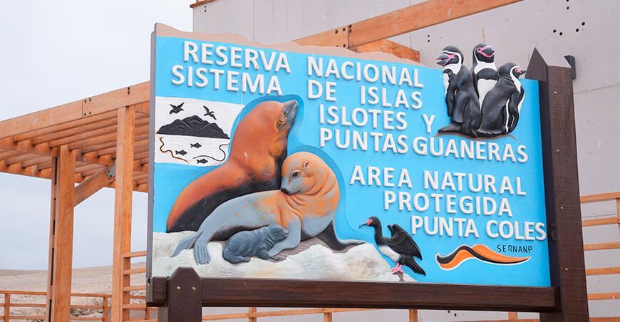 Nuevo puesto de control en Punta Coles impulsará conservación y desarrollo sostenible en Ilo Moquegua Sernanp Perú