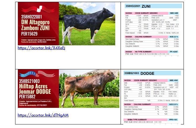 UNALM toros alta calidad genética Perú