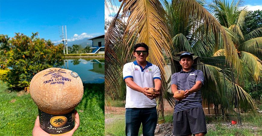 Agua de coco del Vraem , negocio sostenible