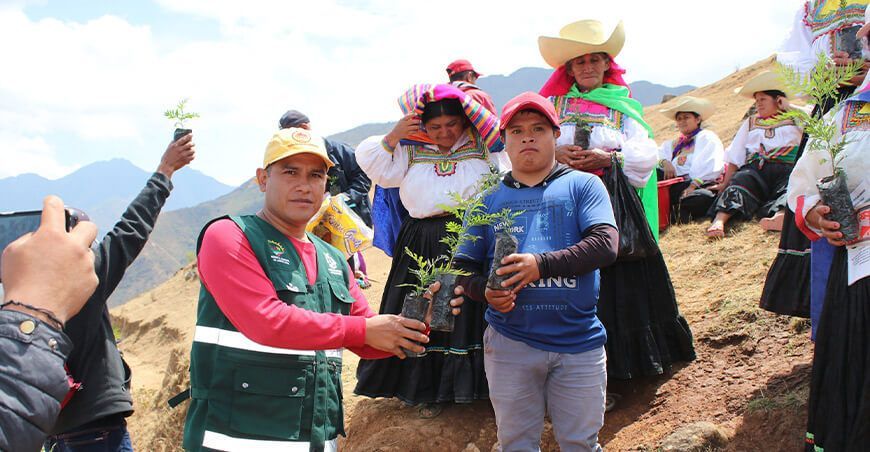 forestación instalan plantones nativos en Cañaris Lambayeque Perú