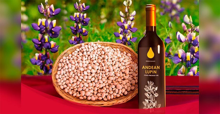 Aceite de tarwi Andean Lupin Oil ganó medalla de bronce Concurso Internacional "Los Aceites del Mundo" AVPA - París 2024.