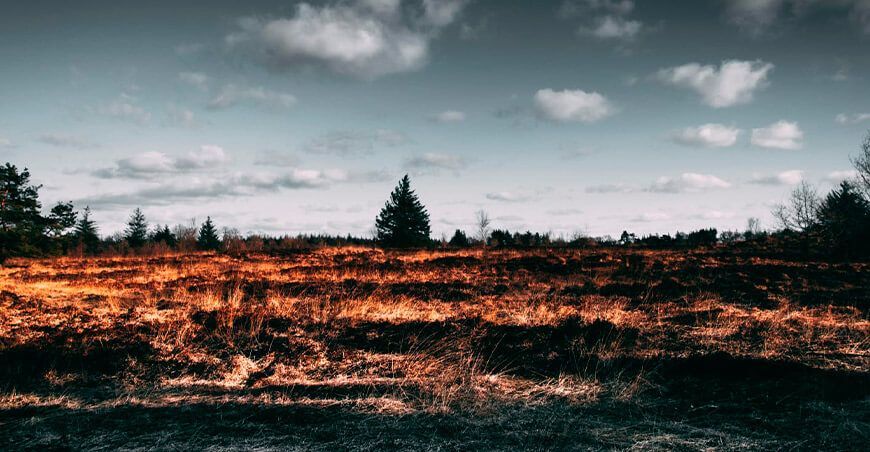 Instituto Crecer advierte sobre preocupante aumento de incendios en la Amazonía peruana